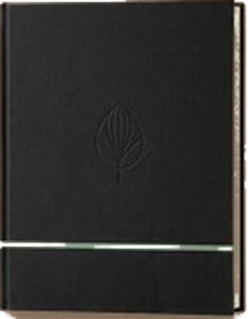 Pfannen-Kochbuch